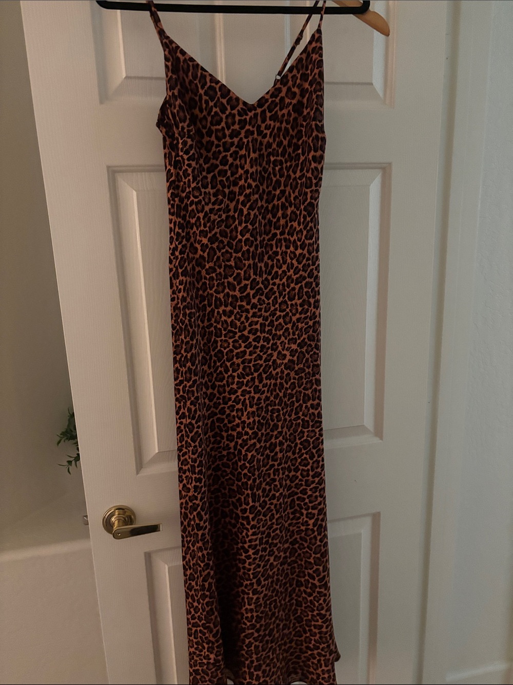 Audrey 3+1 Leopard Print Maxi Dress in Brown and Black